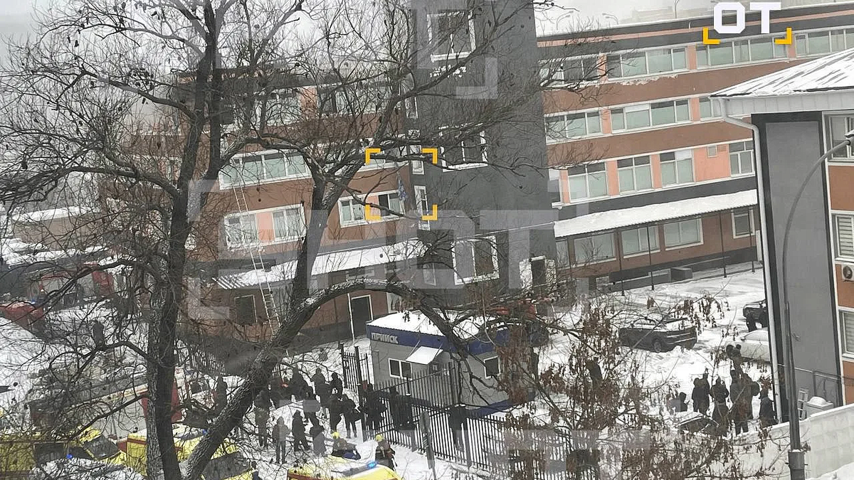    Фото: max.ru/shot