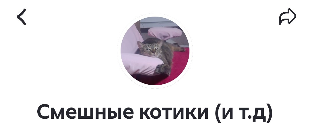 Если вы хотите новости про мир . Вы не туда попали . Это информация ( новость ) про канал Смешные котики. То есть про меня 