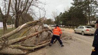    @chistoAnapa Юлия Виноградова