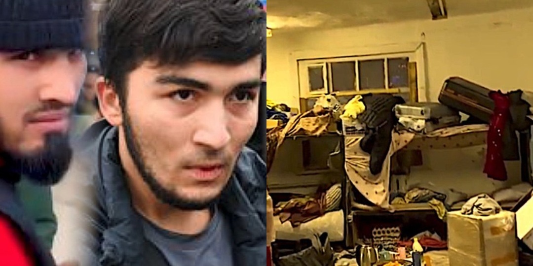 Гости с клопами и прочей заразой: как приезжие привезли в Сибирь «инфекционный калейдоскоп»