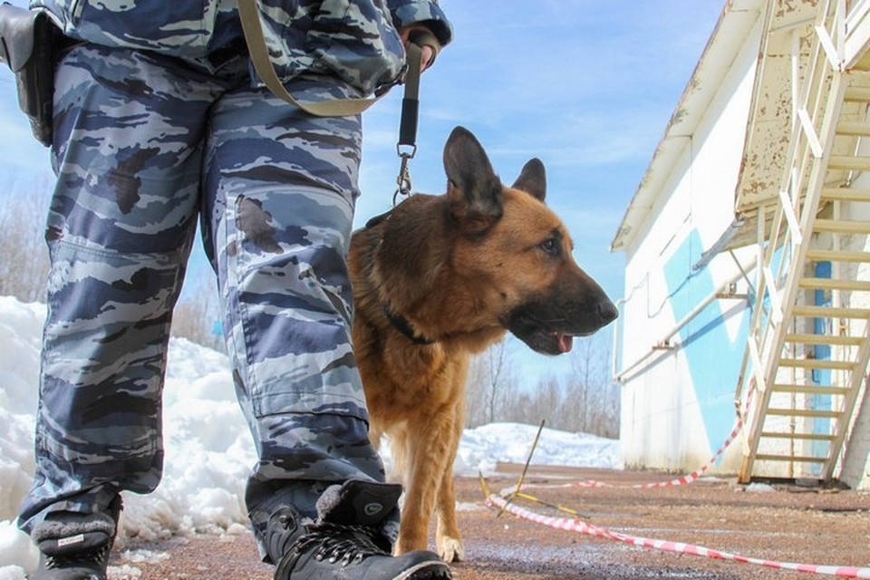   Рустем АХУНОВ