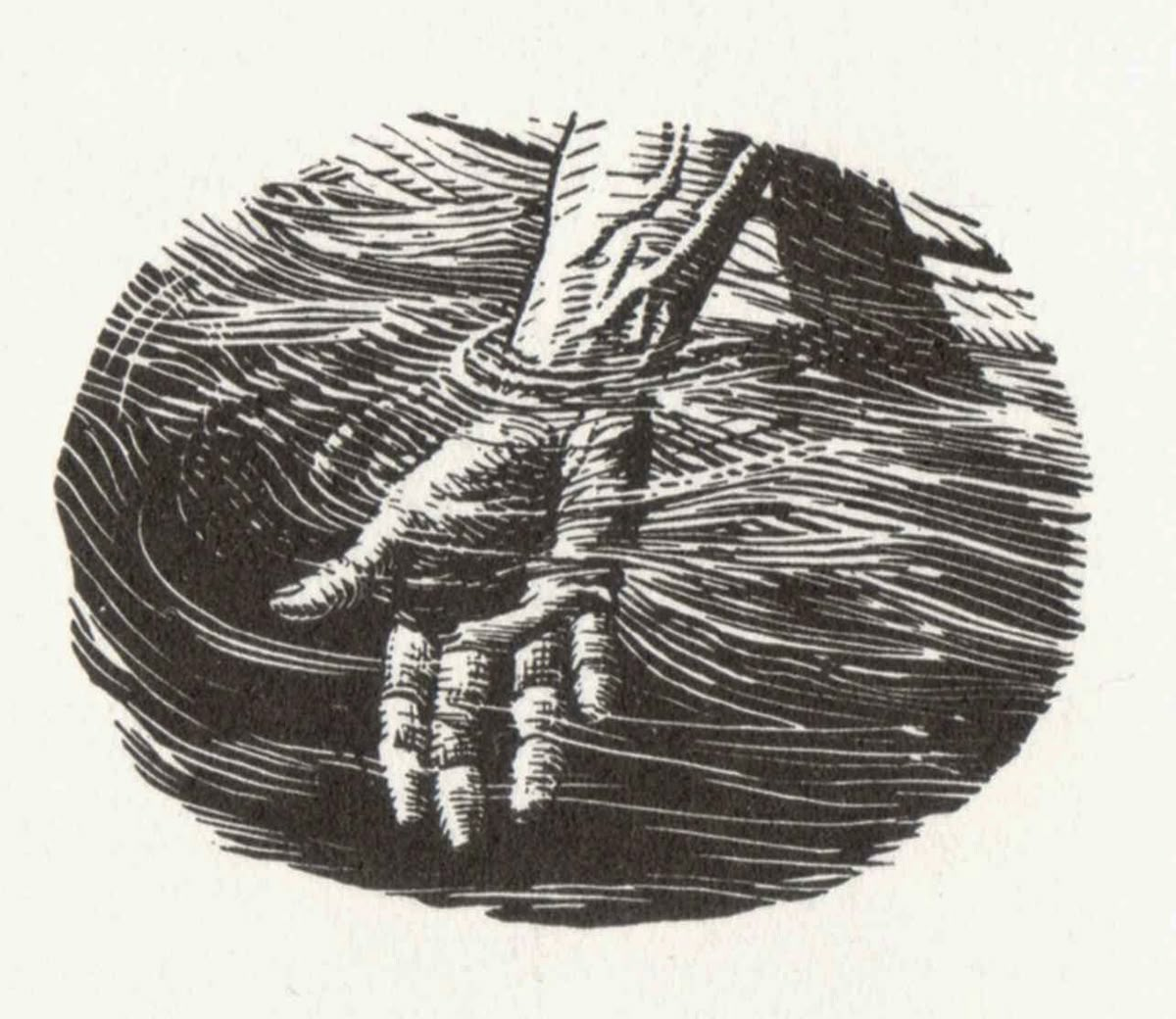 Источник иллюстрации Pinterest