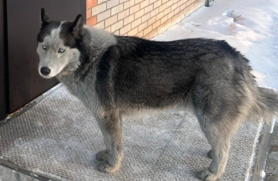    Фото: ТуваМедиаГрупп