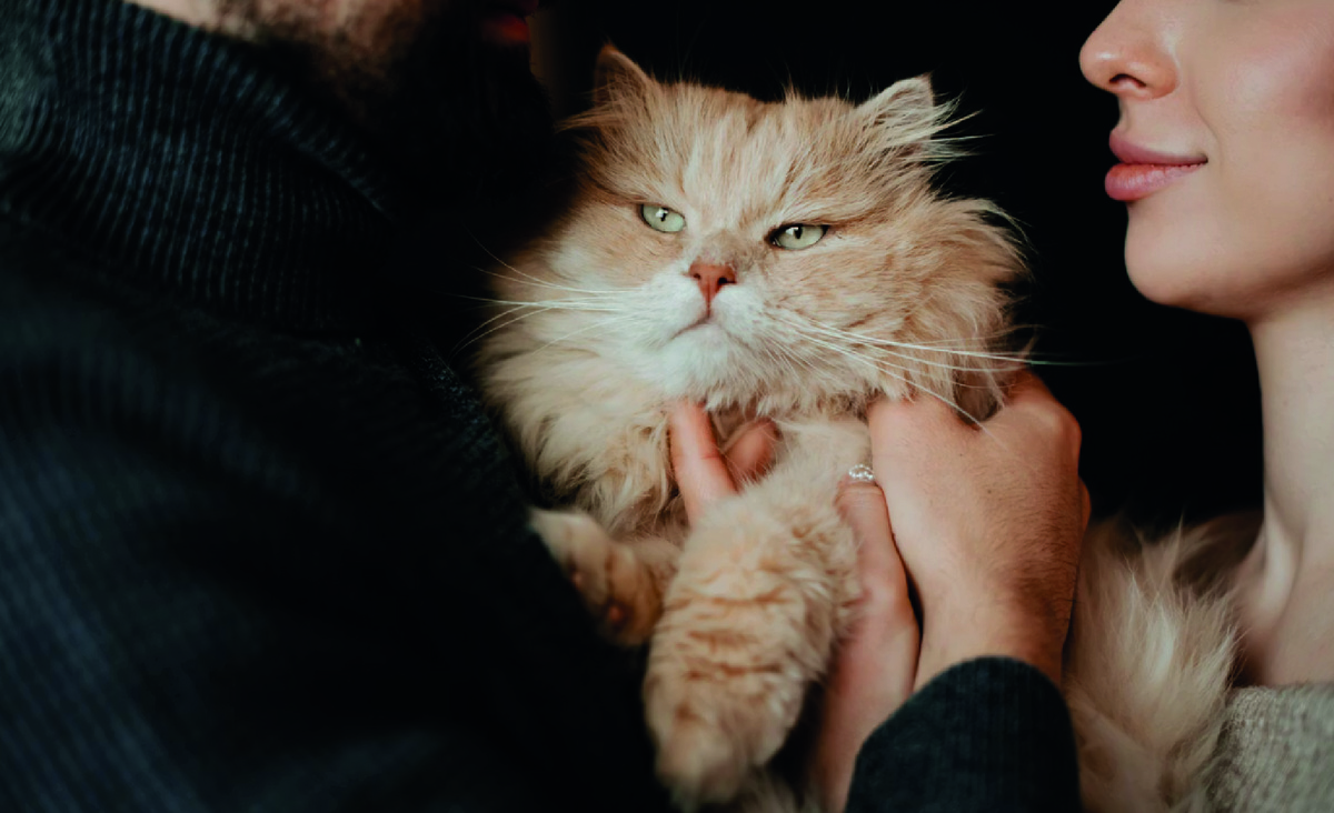 Фото - Unsplash.com, Kateryna Hliznitsova.