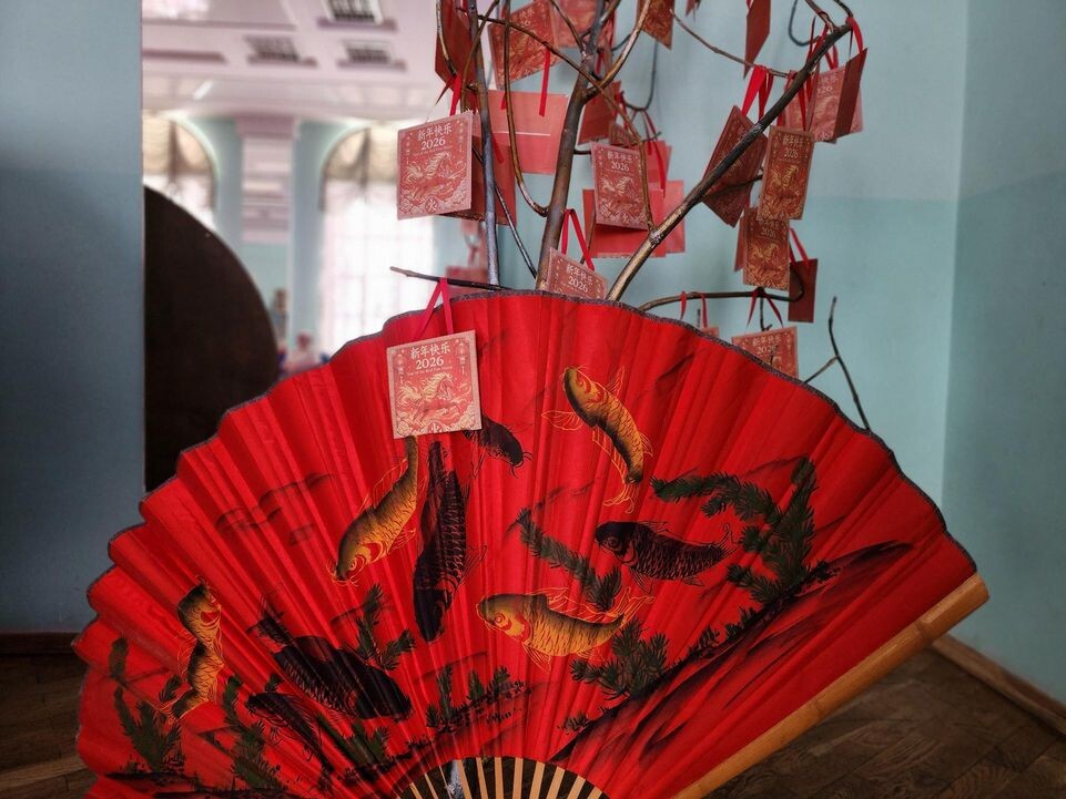    REGIONS/Елена Шумакова