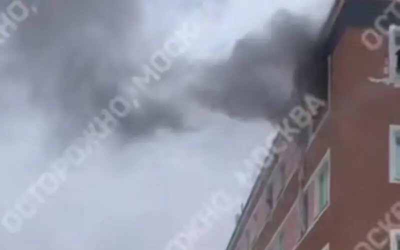    Фото: vm.ru Елизавета Кошелева