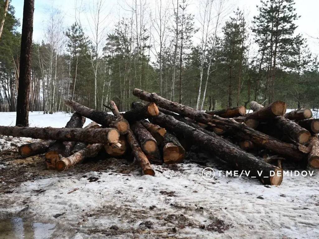     Фото: t.me/v_v_demidov