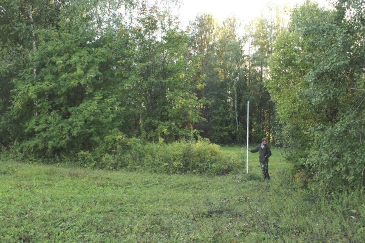    Фото: Пресс-служба ПНИПУ