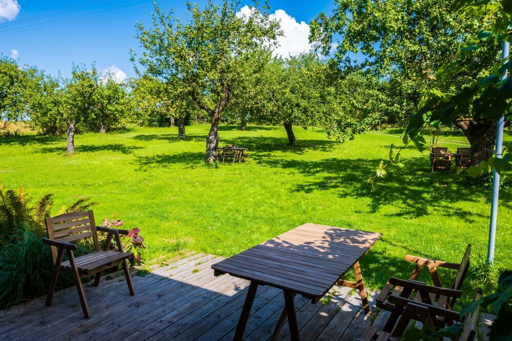 Задний двор 