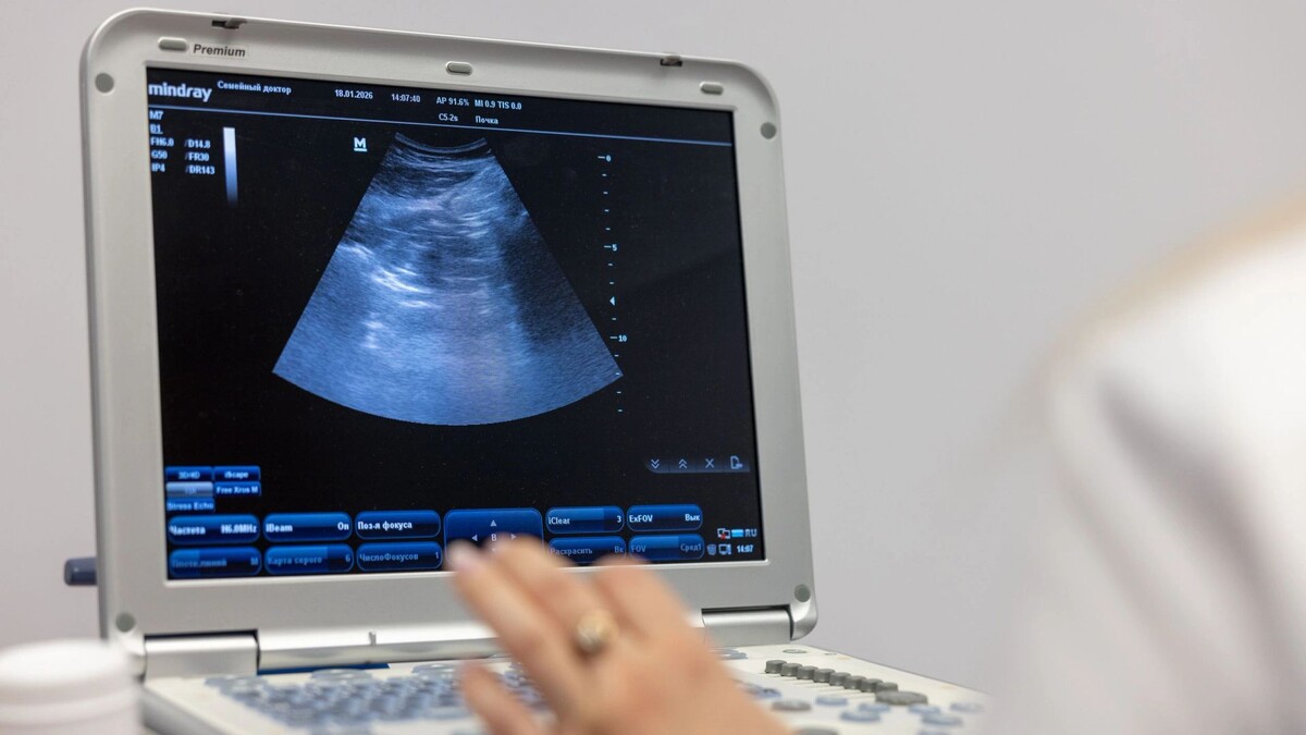    Фото: Федор Воронов/«Ямал-Медиа»