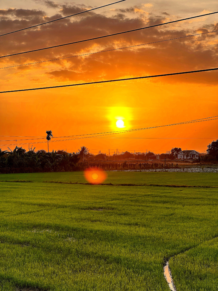 Закат по дороге домой, где то в рисовых полях.