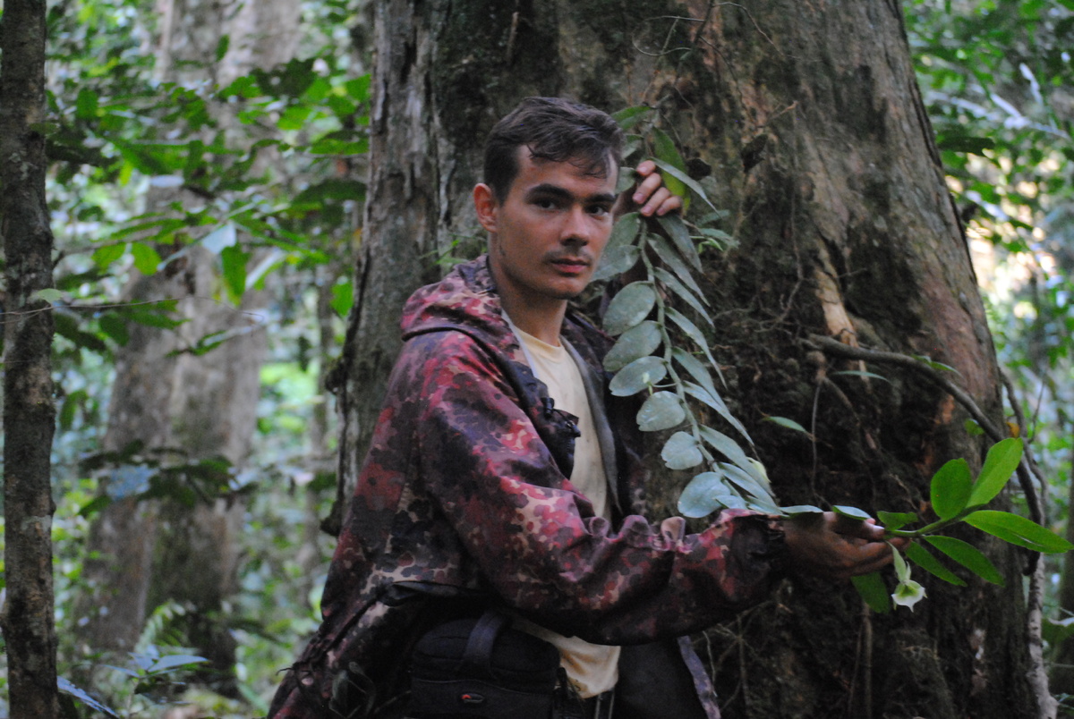 В экваториальном лесу в Камеруне