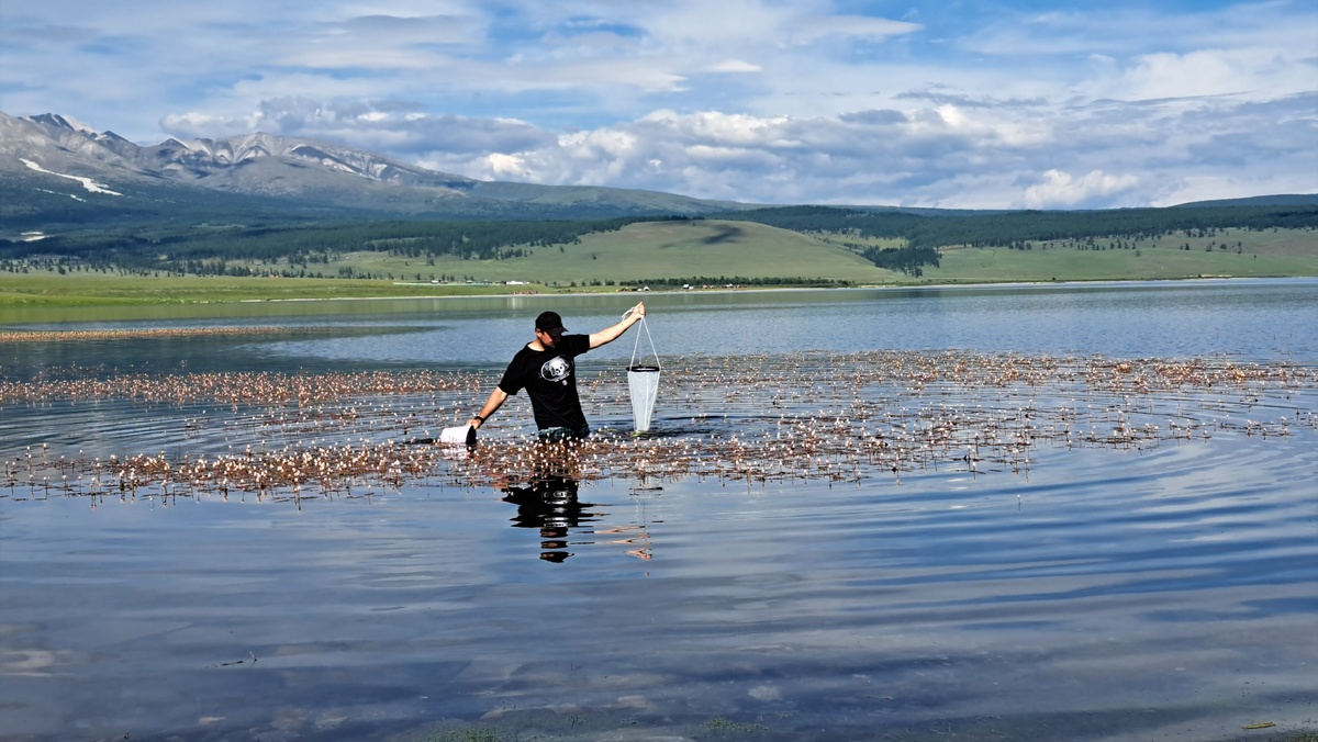 Отбор проб на озере Хубсугул (Монголия)