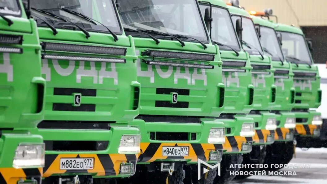    Фото: Новосильцев Артур/АГН "Москва"