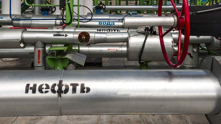    Фото: ИЗВЕСТИЯ/Константин Кокошкин