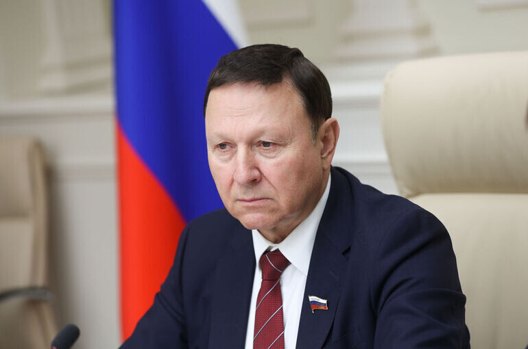   Владислав Тарасов/Пресс-служба Совета Федерации