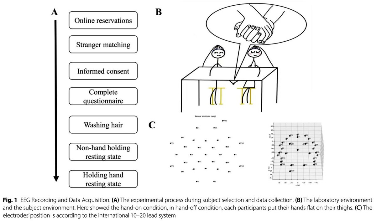 Экспериментальная парадигма