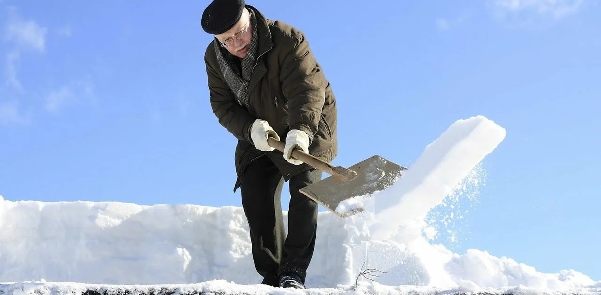 Движение - жизнь