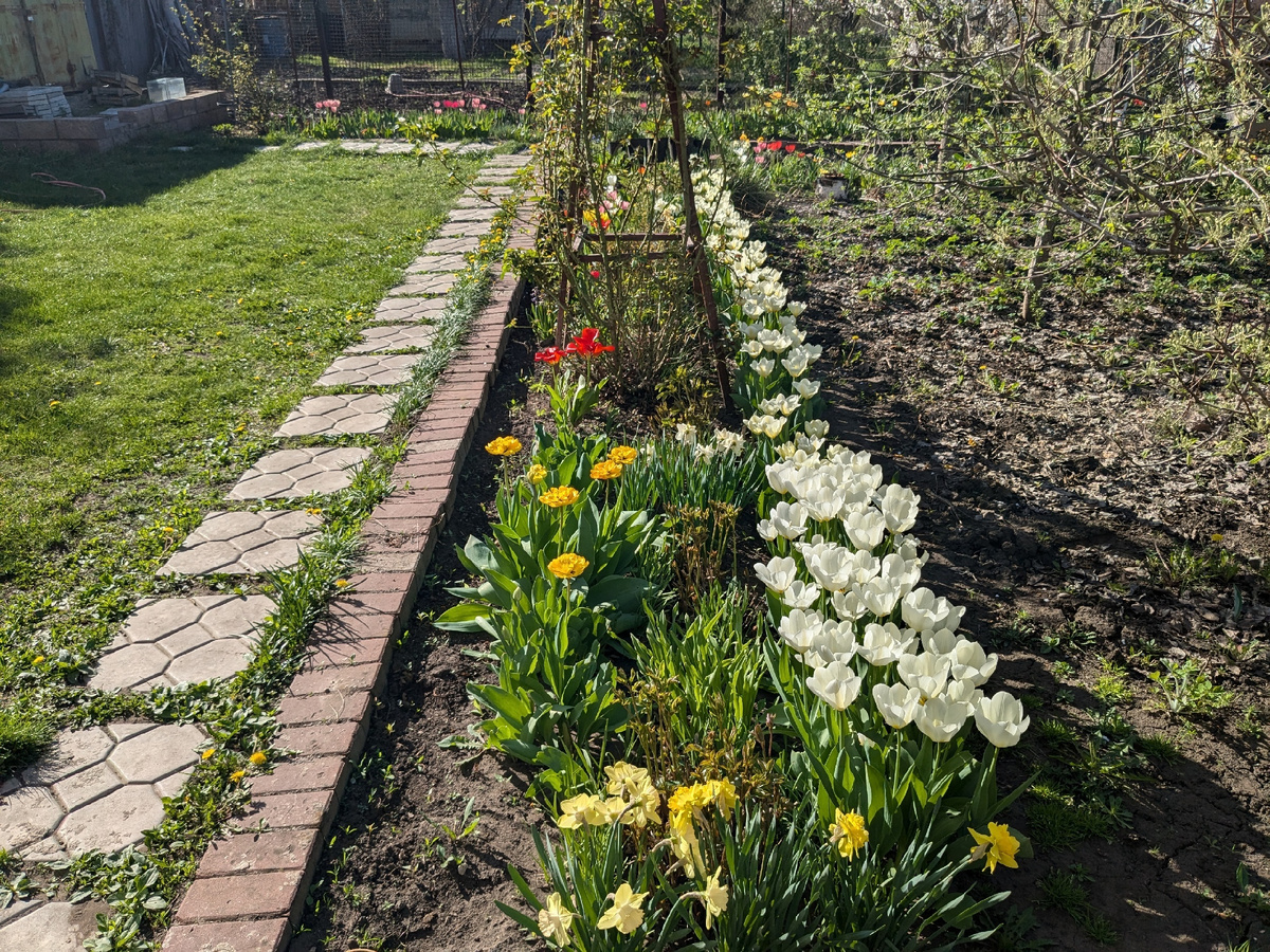 Весна от крыльца