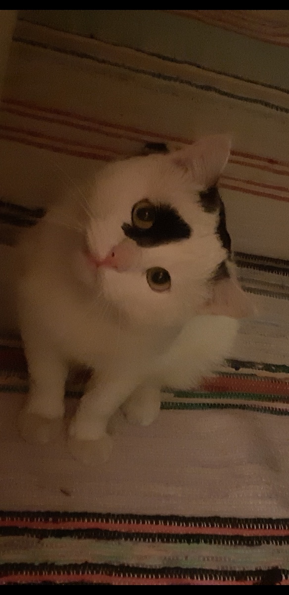 Насмотренность - это так?