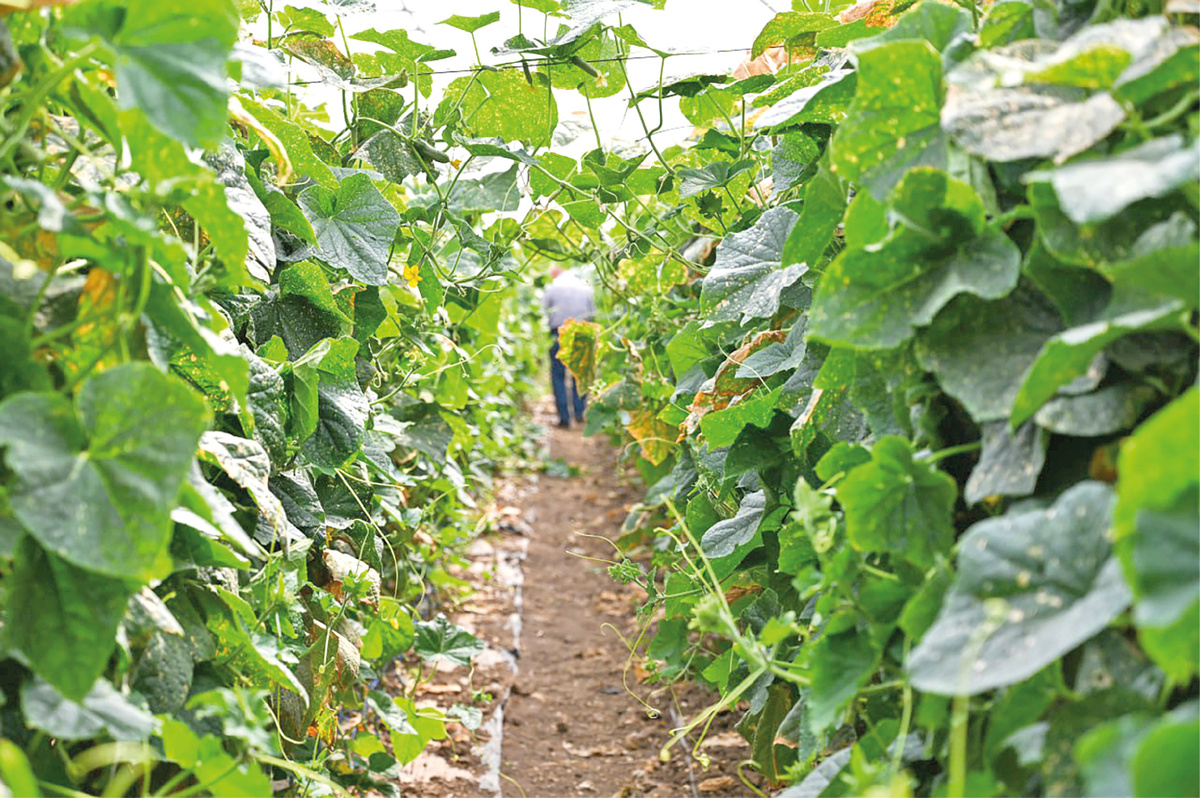 Фото: Гала Амарандо