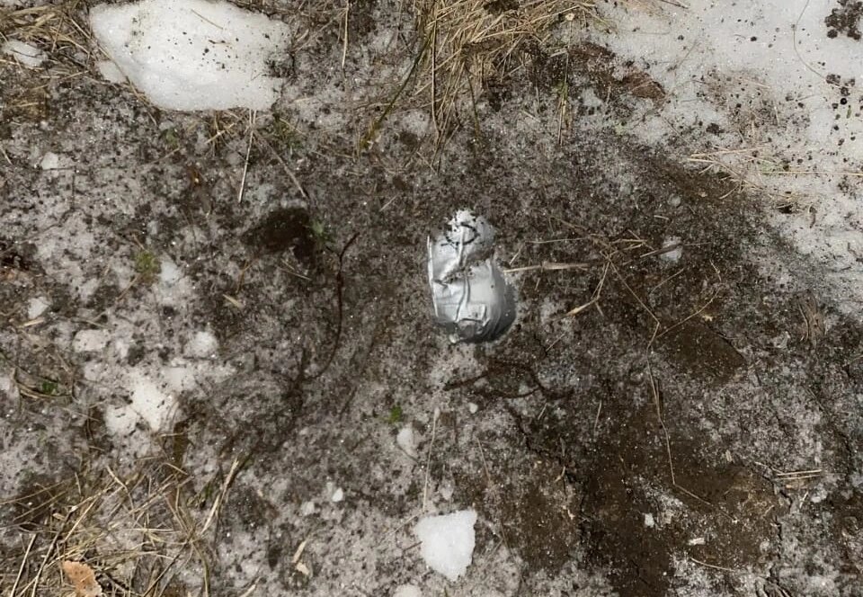    Фото: ГУ МВД России по РО