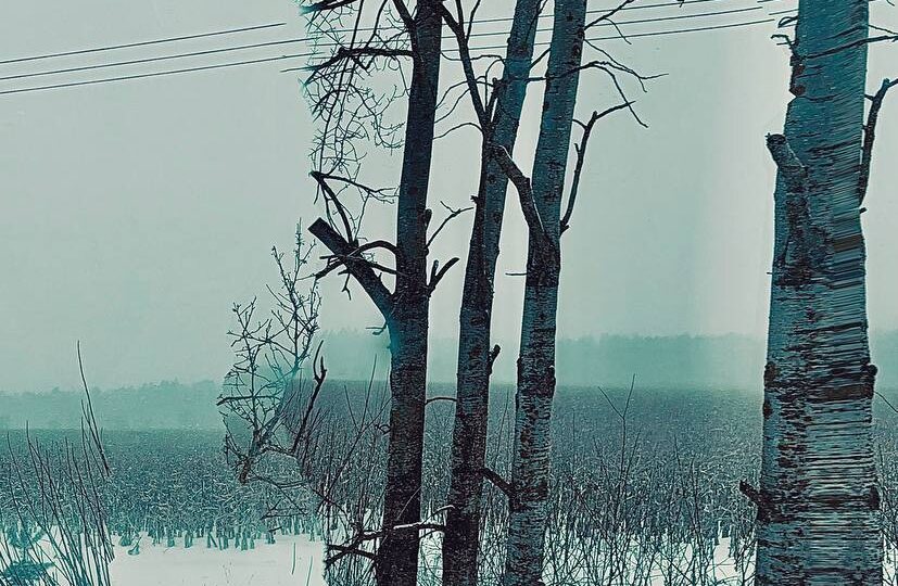 Получилось сфотографировать как картина мира стремится сменить саму себя и явно не успевает перестроиться