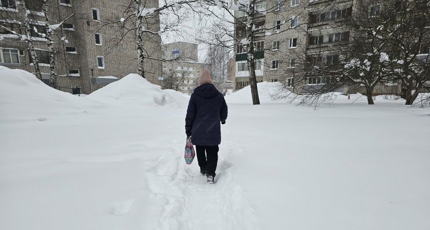    Фото prochepetsk.ru