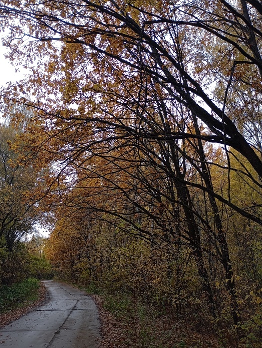 Нижний Новгород, 8 октября 2025