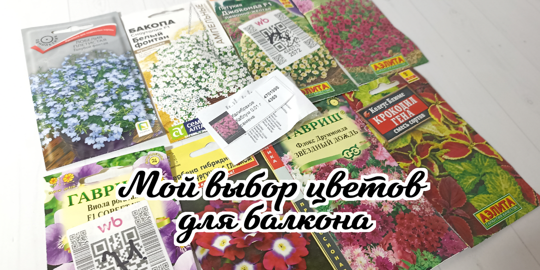 Посев цветов для балкона в феврале. Выбрала 10 видов