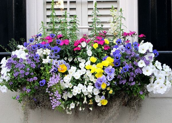 Вдохновляющий пример из интернета