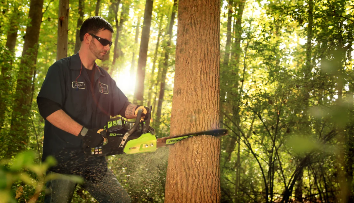 Мужчина с электропилой Greenworks. Источник изображения: http://www.e-katalog.ru