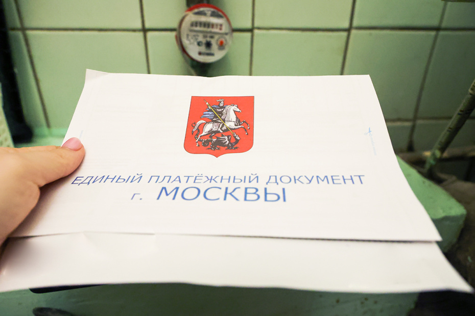    Наталья Шатохина/NEWS.ru