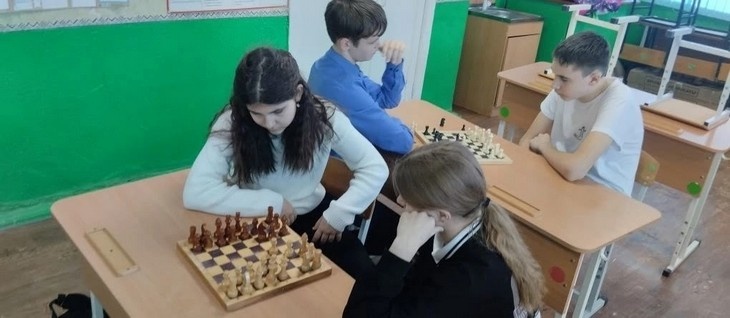    шахматы Редакция Газеты