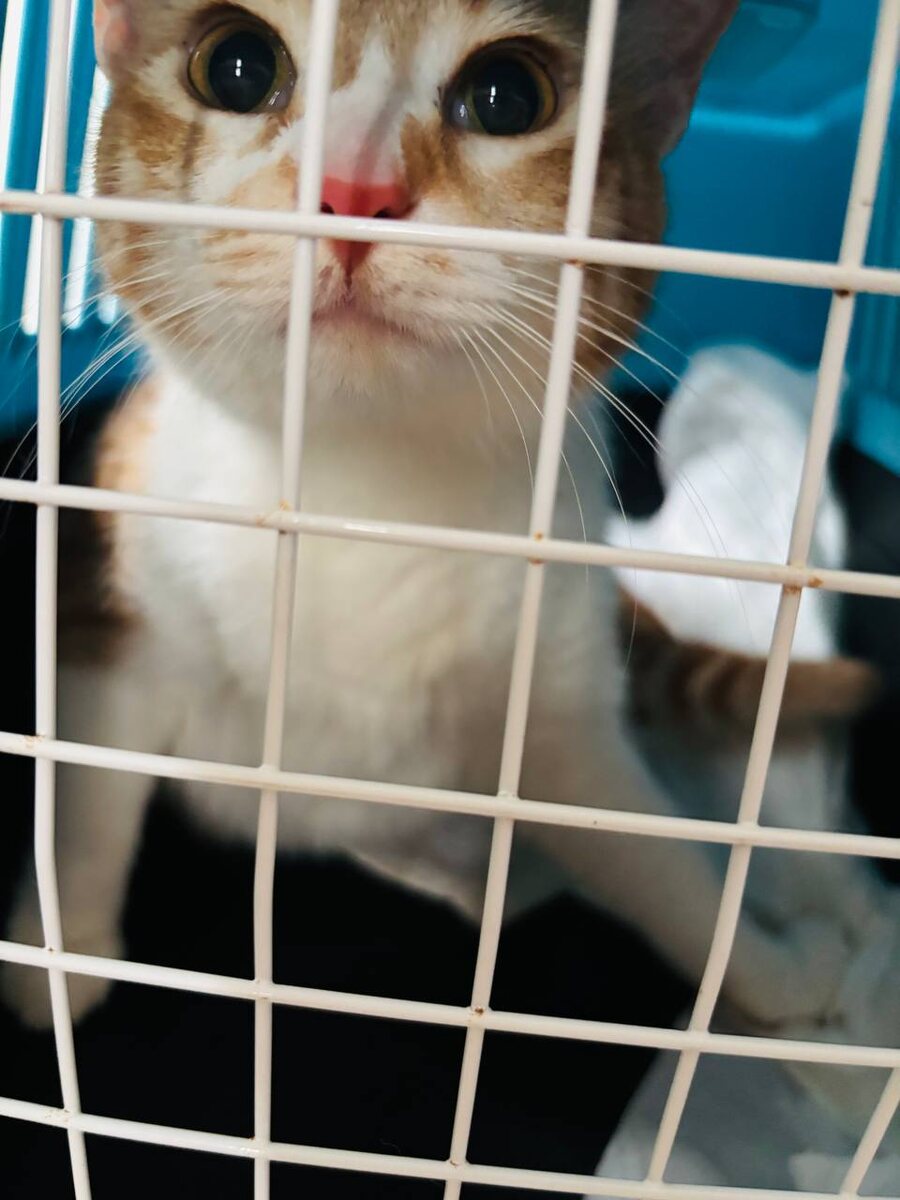 Фото автора. Софийка.