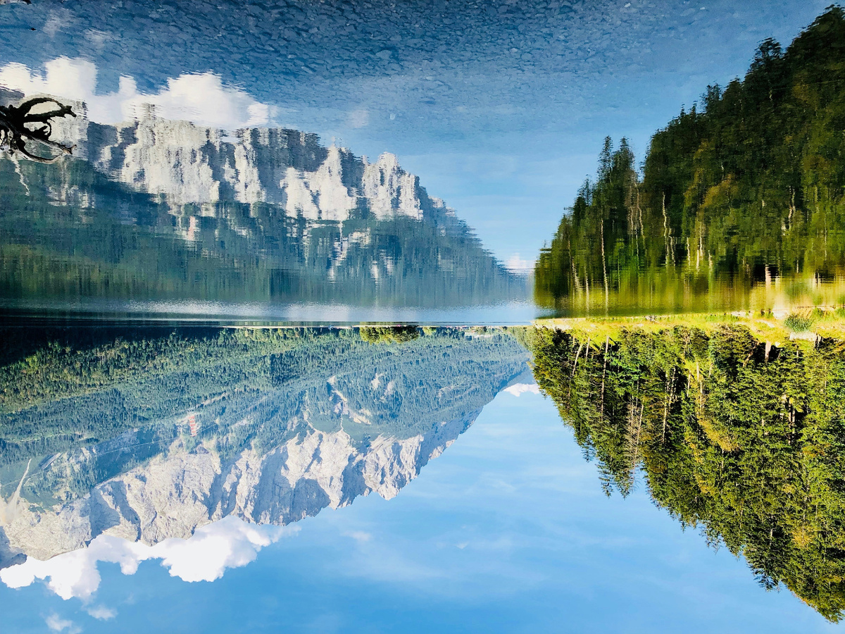 "Когда пробегу, не касаясь земли по февральскому снегу, По еле заметному следу — к теплу и ночлегу —"(с) Фото: Unsplash