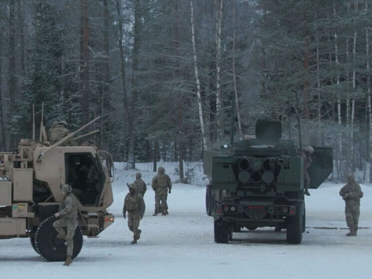     Военнослужащие Эстонии. Фото: кадр из видео.