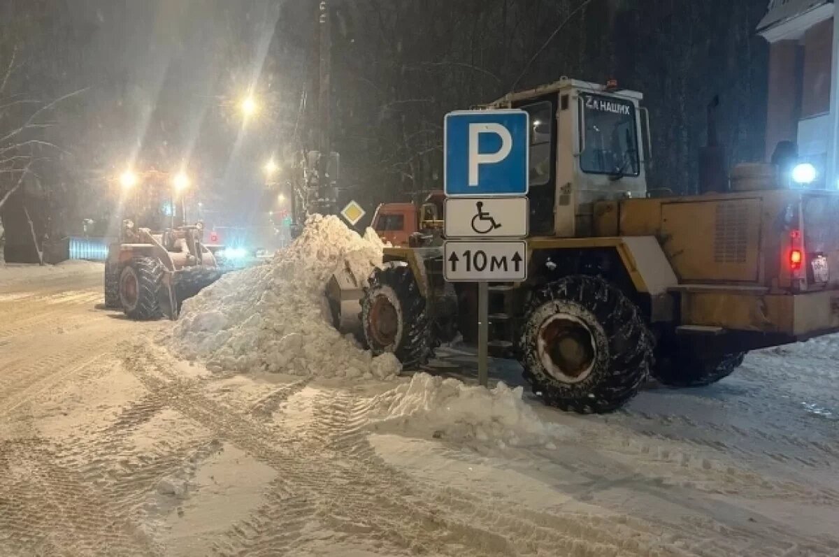    Мороз и снег по плану.