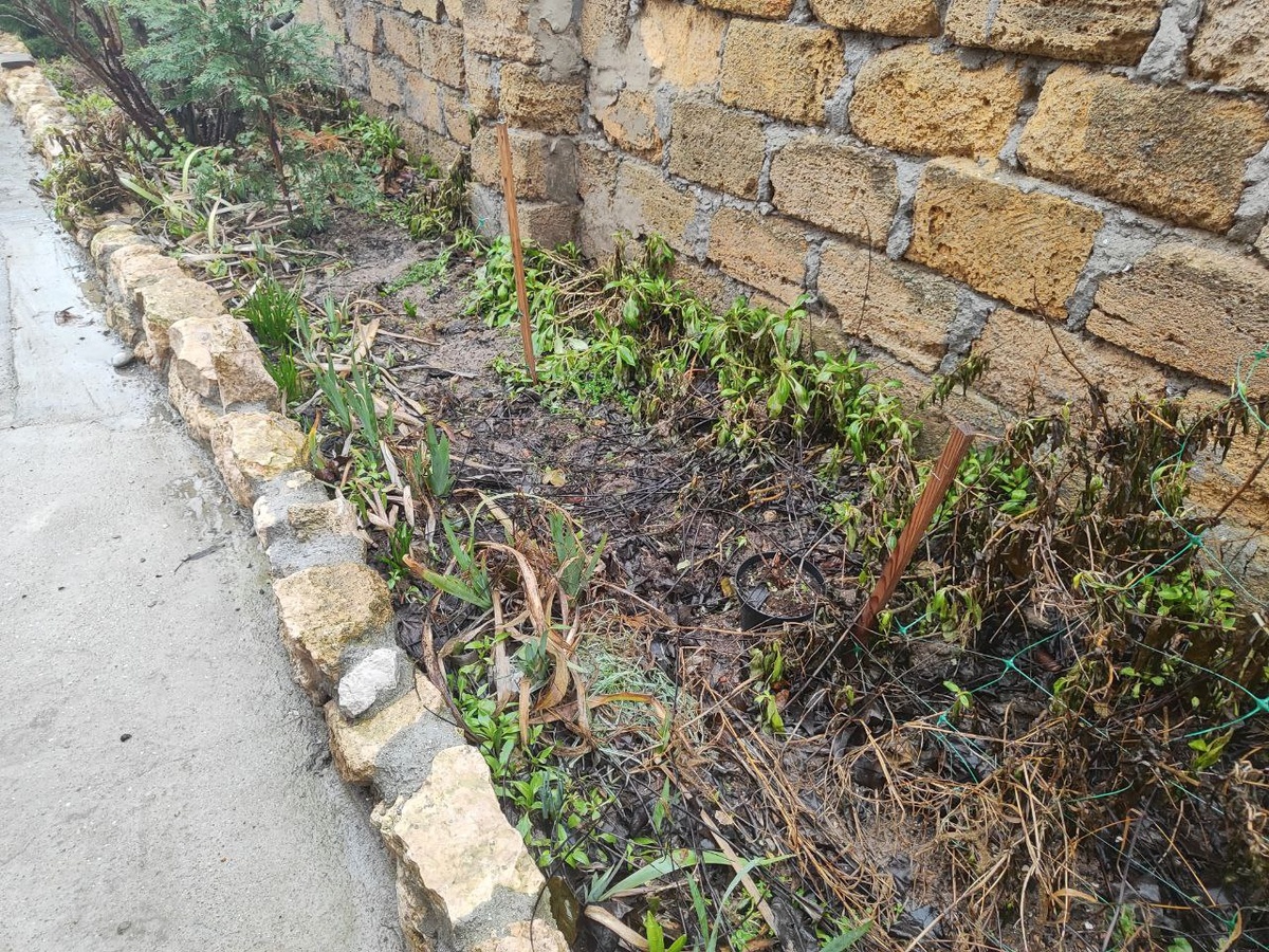 состяние грядок сейчас....это надо было убрать еще осенью