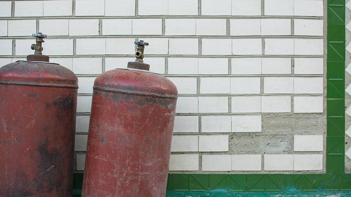    Фото: Shutterstock