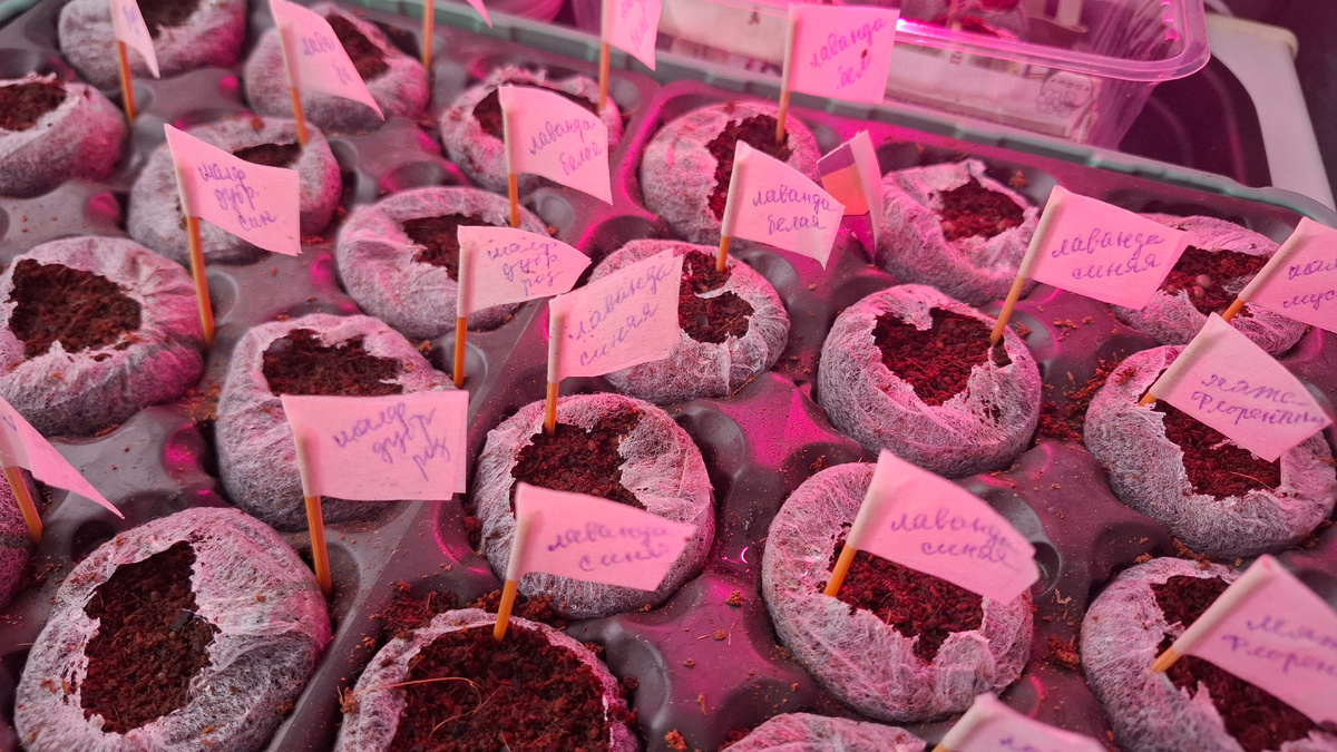 Все подписано, как у настоящих огородников. 