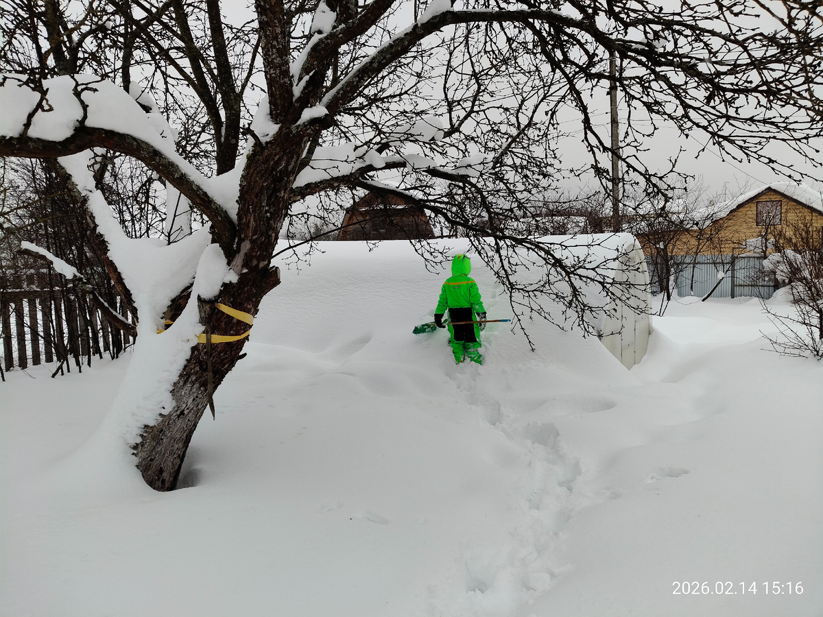Теплица была полностью чищена неделю назад - и опять сколько снега!