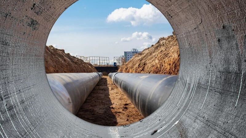    Фото: Another77/Shutterstock/Fotodom