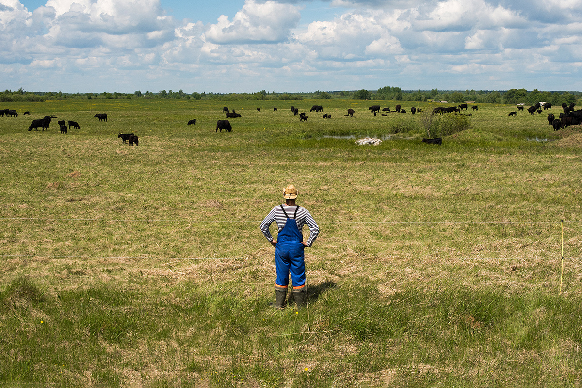 Рамиль Ситдиков / РИА Новости📷Экономическая сфера деятельности охватывает все виды деятельности, связанные с производством, распределением, обменом и потреблением товаров и услуг