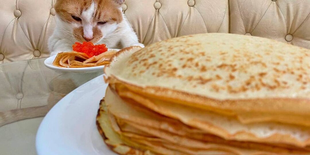 Солнышки на сковородке: кот Мостик дает мастер-класс по приготовлению блинчиков