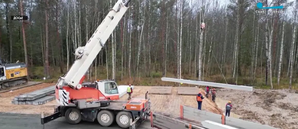    Фото: скриншот видео телеканала «Санкт-Петербург»