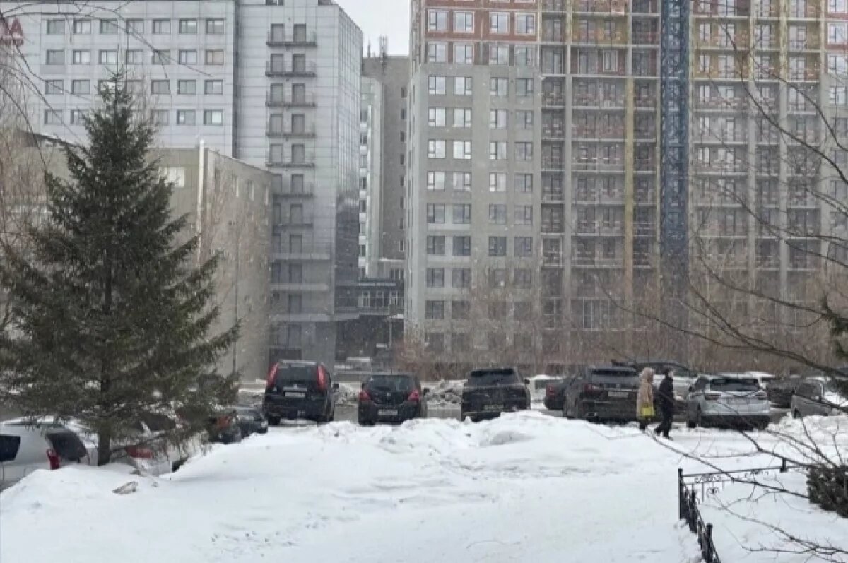    В Новосибирске на Масленицу ожидается потепление до +2