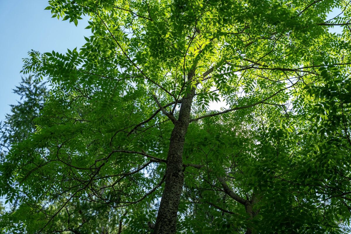 Фото: Александр Плонский / «Агроэксперт»