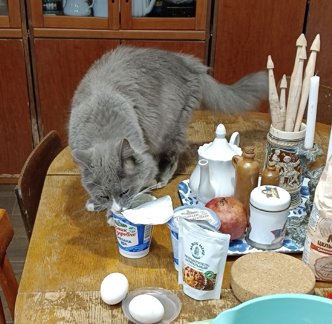 Киану пришёл сметанки поесть