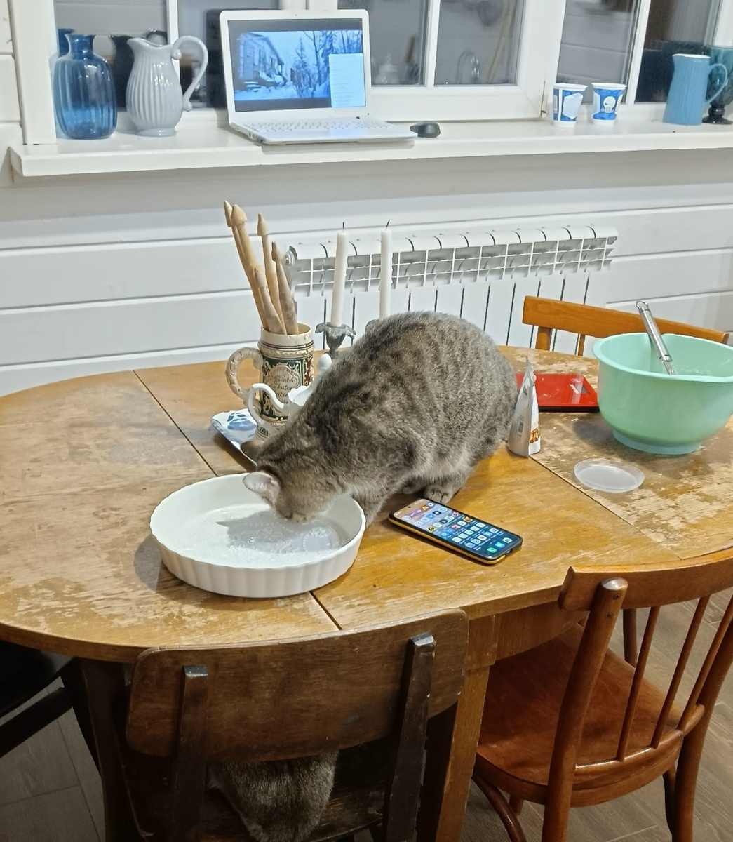 Мышка-Норушка вылизала форму смазанную маслом. Пришлось снова мазать